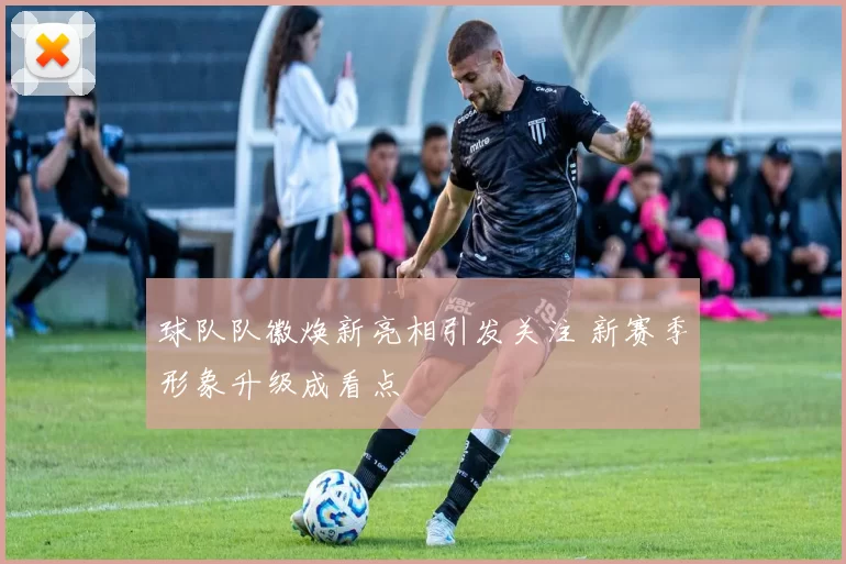 球队队徽焕新亮相引发关注 新赛季形象升级成看点