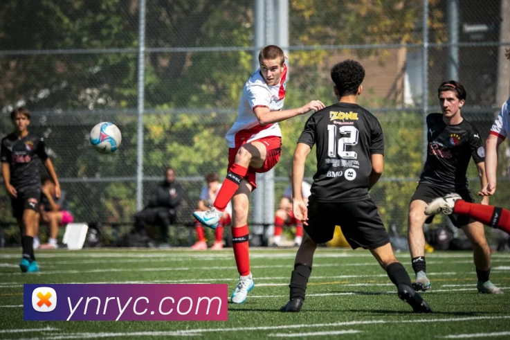 乐鱼官方体育app登录发展历程